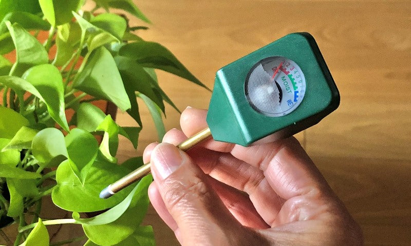 もう枯らしたくない! ワッツオンラインの園芸用水分計を使ってみた