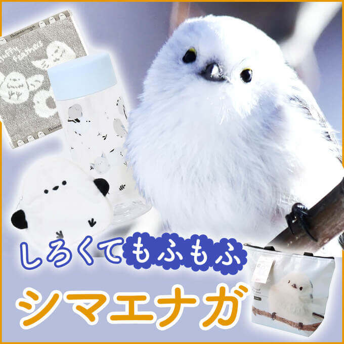 しろくて、もふもふ!癒しのシマエナガグッズ