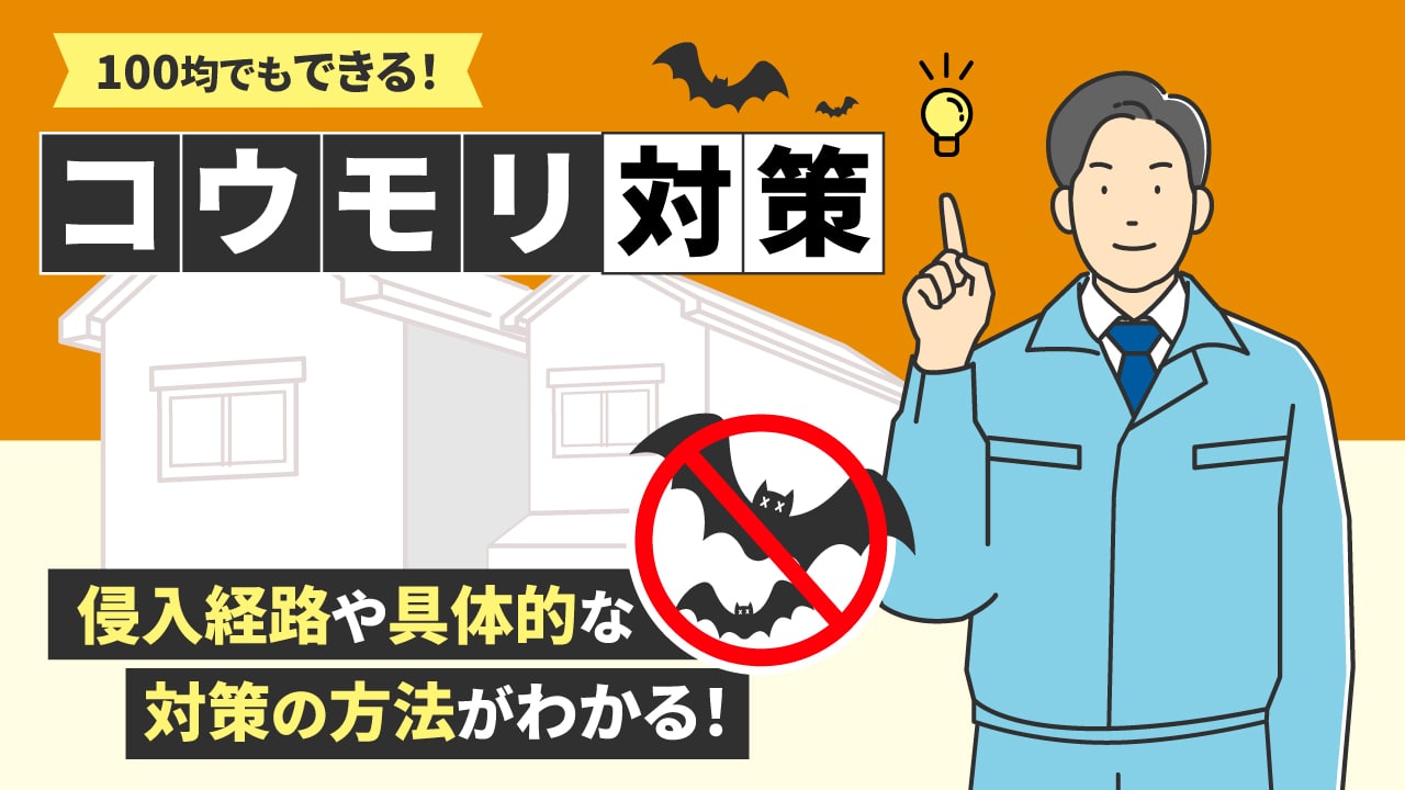 100均でできる!コウモリ対策完全ガイド|侵入経路から効果的な対策手順まで解説