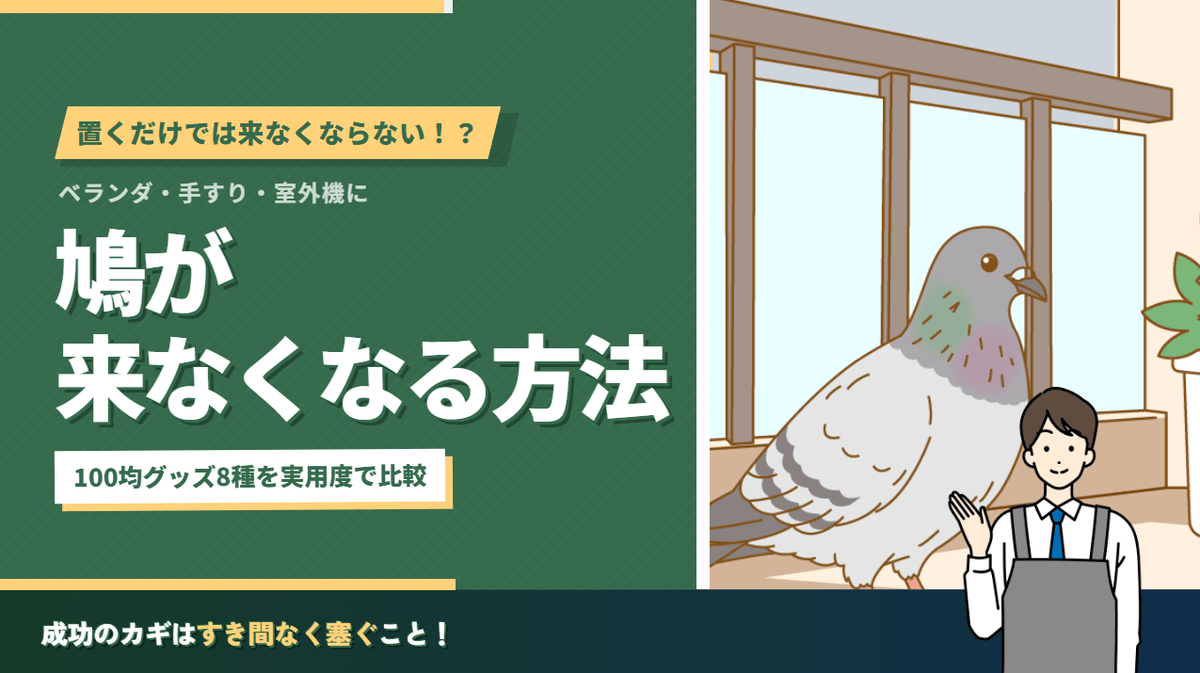 【100均で解決】鳩が来なくなる方法8選|効くグッズと失敗しない設置手順