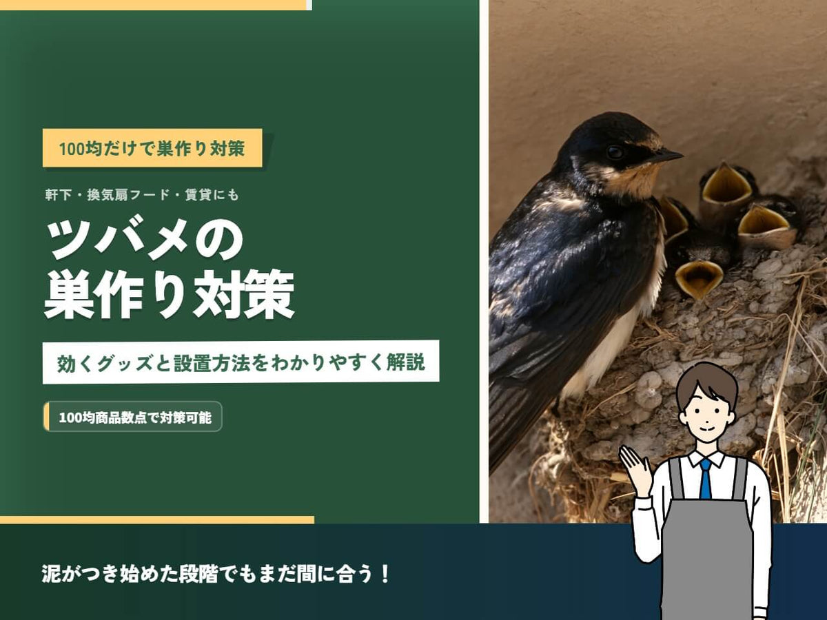 ツバメの巣対策は100均で足りる!効果的なグッズと設置方法を画像で解説