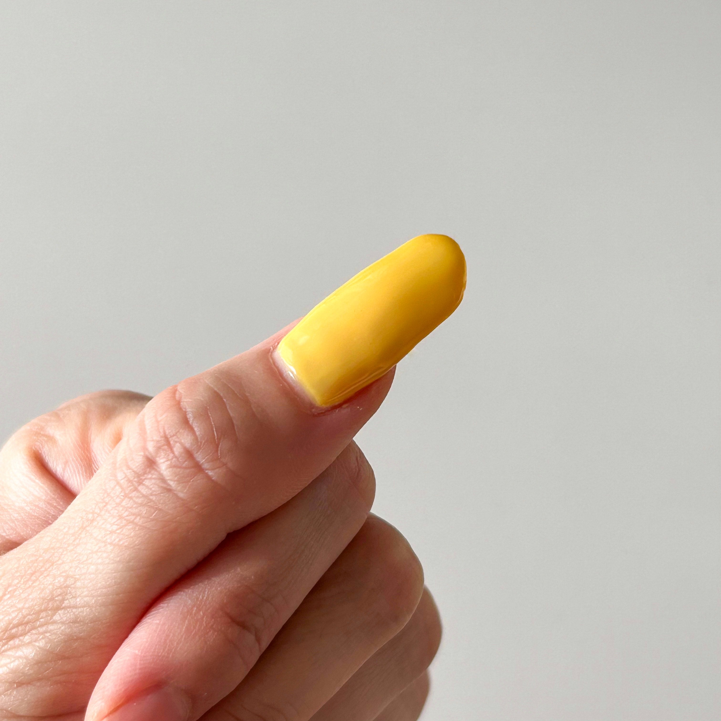 付け爪 ネイルチップ フレンチネイルチップ クリア 50枚入り 001892