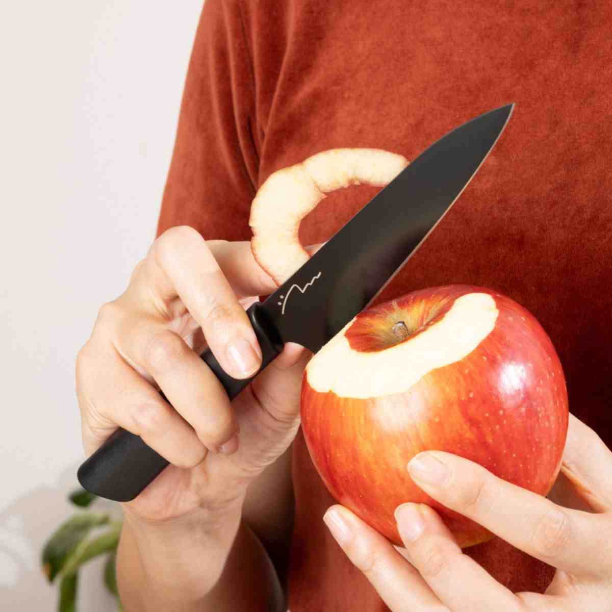 【在庫限り】PB.藤本美貴コラボ ペティナイフ(ふっ素) 019499