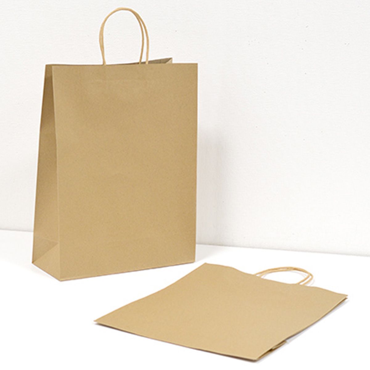 【OUTLET】紙袋 ギフトバッグ プレゼント用バッグ PB.ペーパーバッグ L 2P クラフト無地 023064