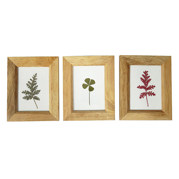 木製リーフフレーム L アソート 036019