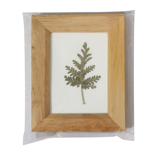 木製リーフフレーム L アソート 036019