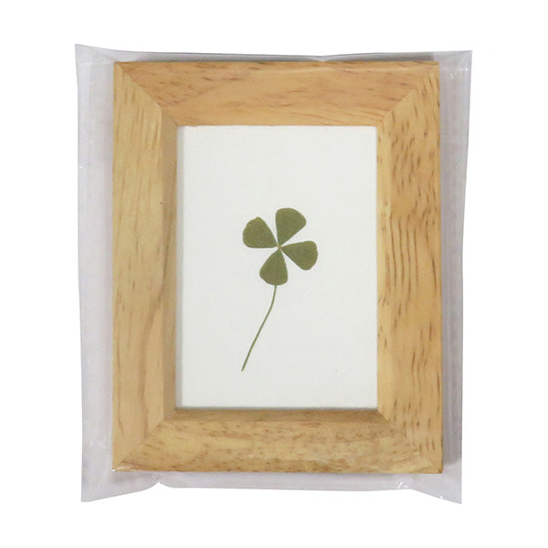 木製リーフフレーム L アソート 036019