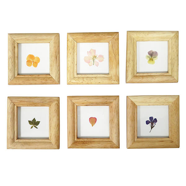 木製リーフフレーム S アソート 約7.8×7.8cm 036026