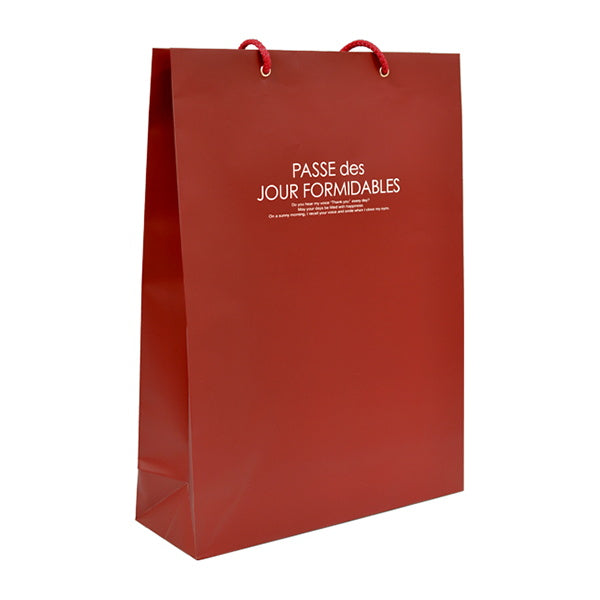 ギフトバッグ プレゼントバッグ ハンドルバッグ ペーパーバッグ タテ LL カラー 041802