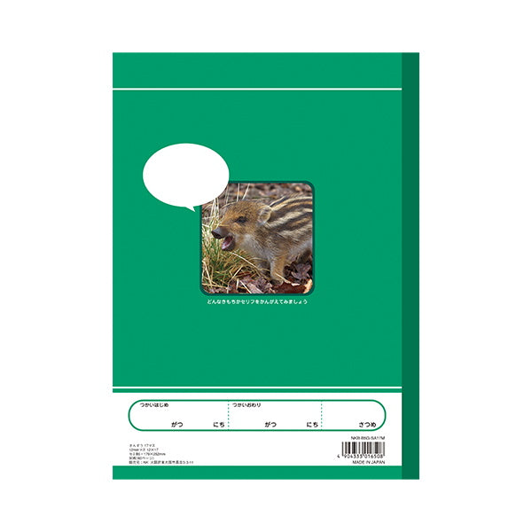 算数ノート B5 さんすう 17マス NKB-B5G-SA17M 042008