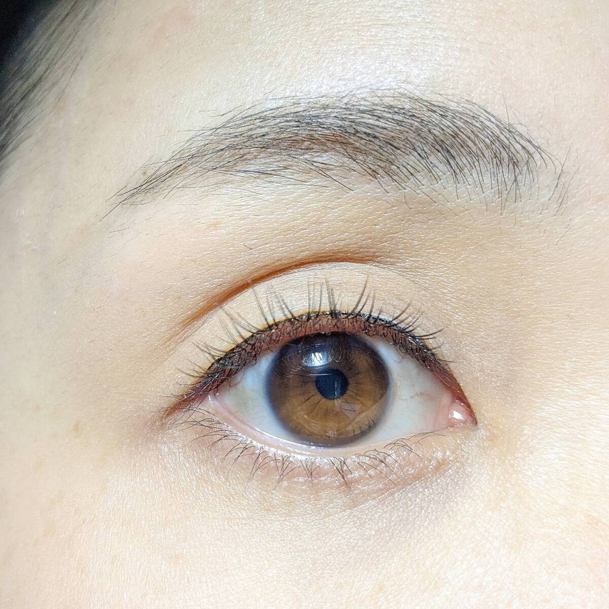 付けまつげ LJ 内緒のつけまつげ 01 ネコ目ナチュラル 042114