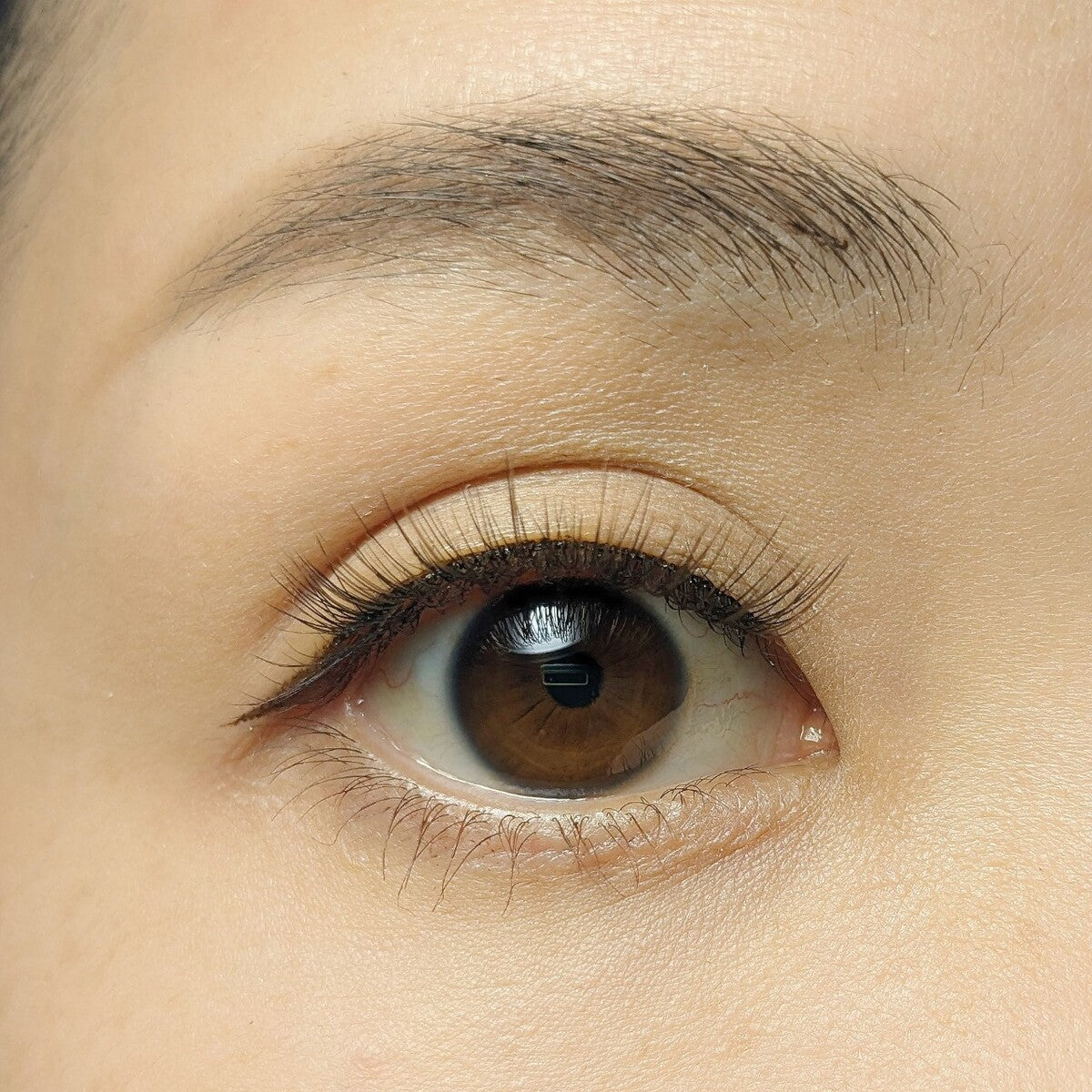 【在庫限り】LJ 3D つけまつげ 02 華やかブラック 044681