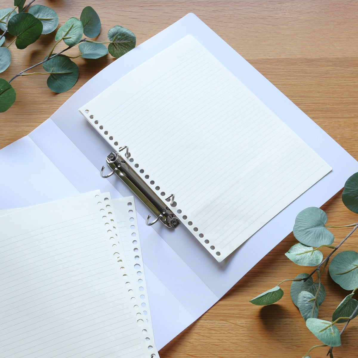 リング式ファイル D型リングファイル PB.A4 Dリングファイル 2穴 ホワイト 046008