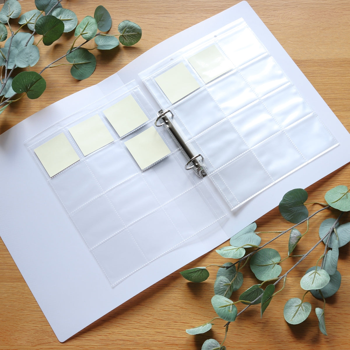 リング式ファイル D型リングファイル PB.A4 Dリングファイル 2穴 ホワイト 046008