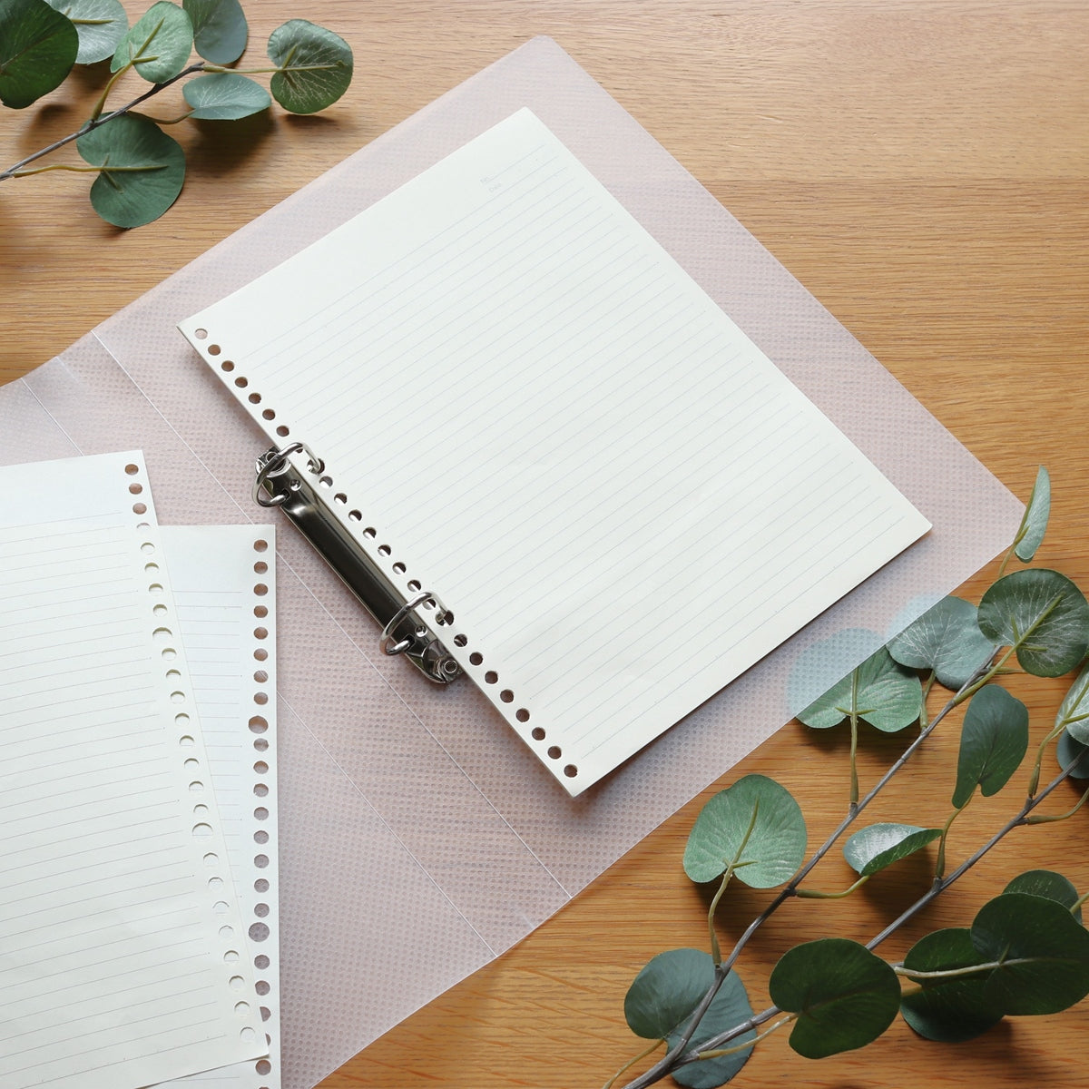 リング式ファイル D型リングファイル PB.A4 Dリングファイル 2穴 クリア 046009