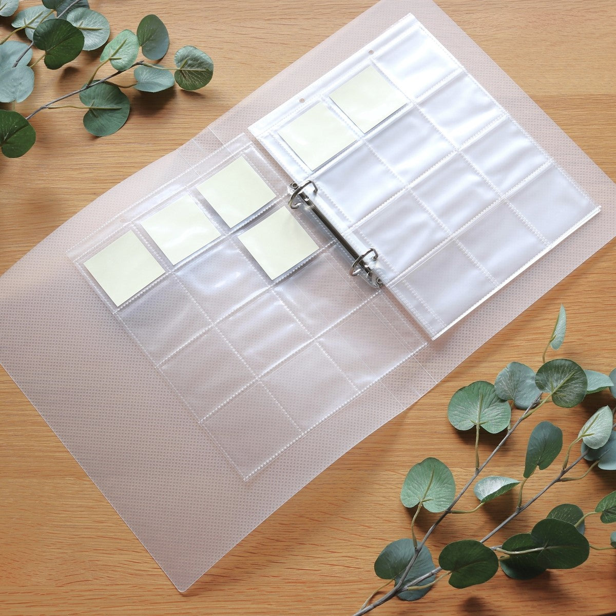 リング式ファイル D型リングファイル PB.A4 Dリングファイル 2穴 クリア 046009