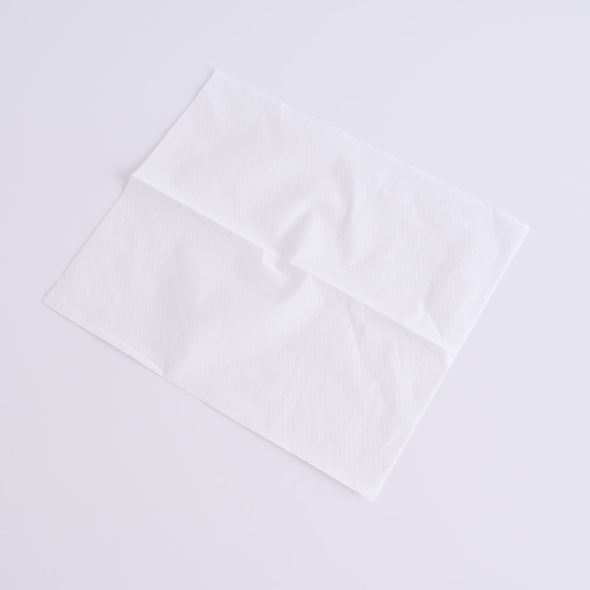 PB.エルモアふんわりやわらかペーパータオル 240枚 046630