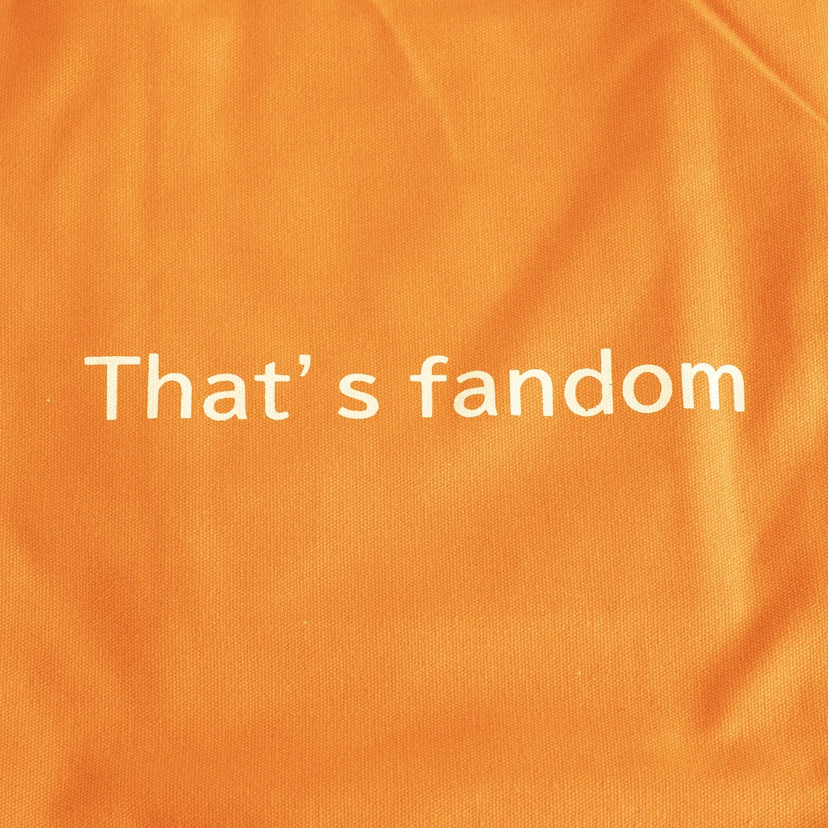 トートバッグ PB.推し色トート オレンジ 約H40×W38×D12cm 049784