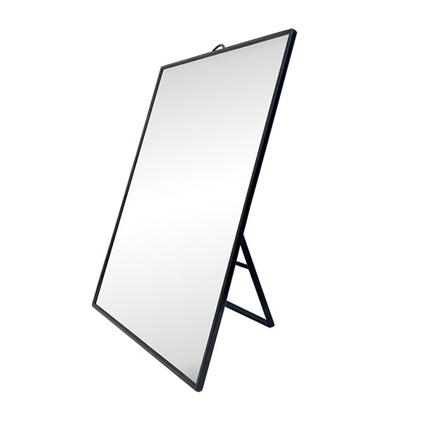 ビッグスタンドミラー 053436