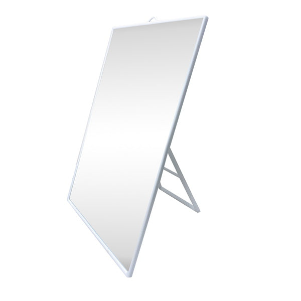 ビッグスタンドミラー 053436