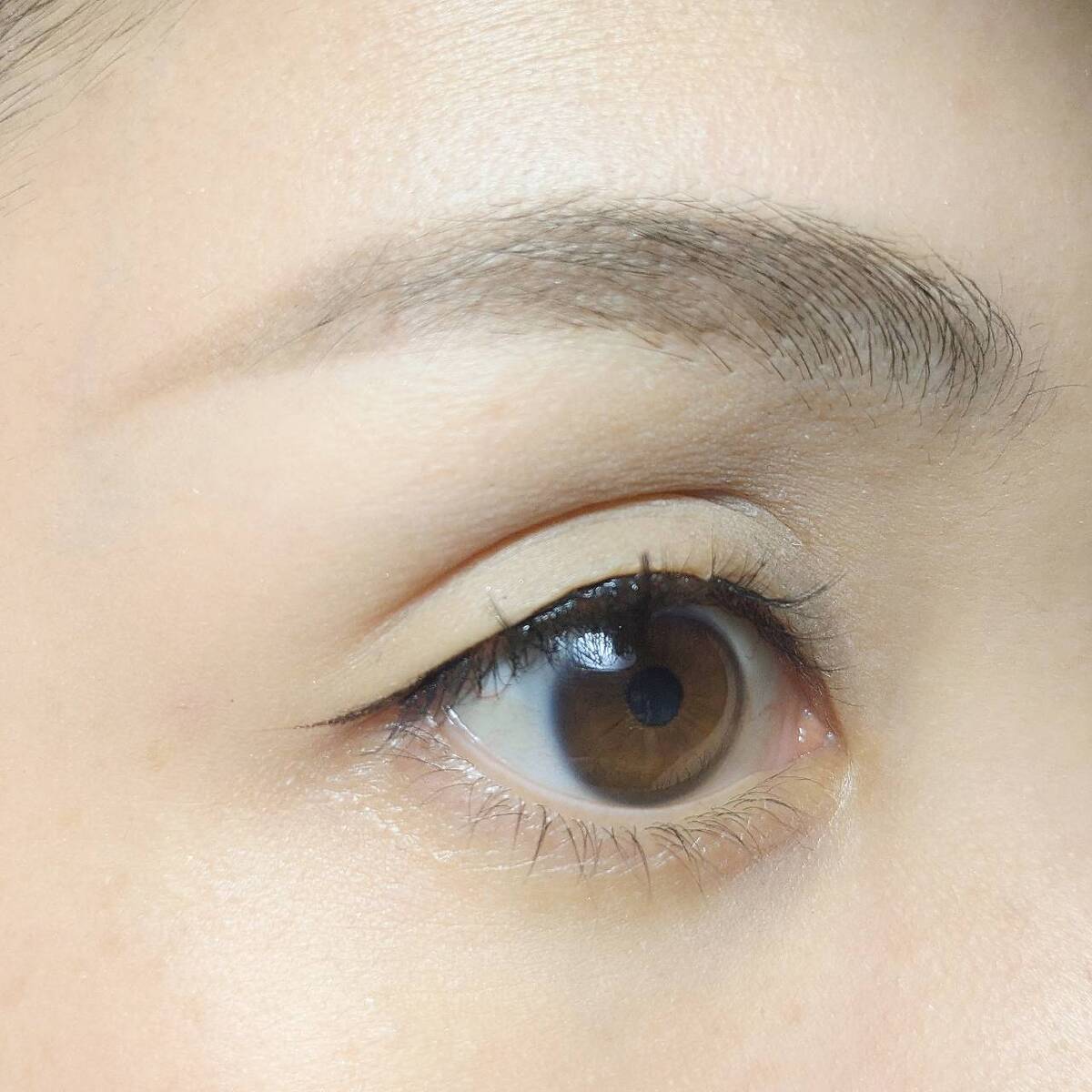 PB. fasmy部分用つけまつげ(10mm ・12mm・ 13mm・13.5mm・ 14mm)アイラッシュ03 054373