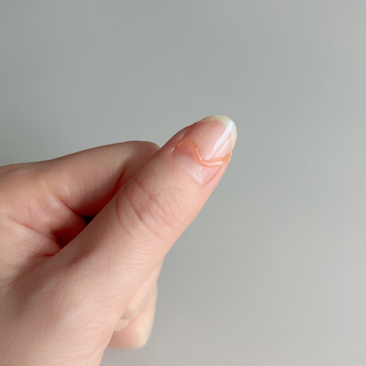 ジェルネイル ノズルタイプ ネイルアート PB. fasmy アイシングジェルネイル 06 オレンジ 054688