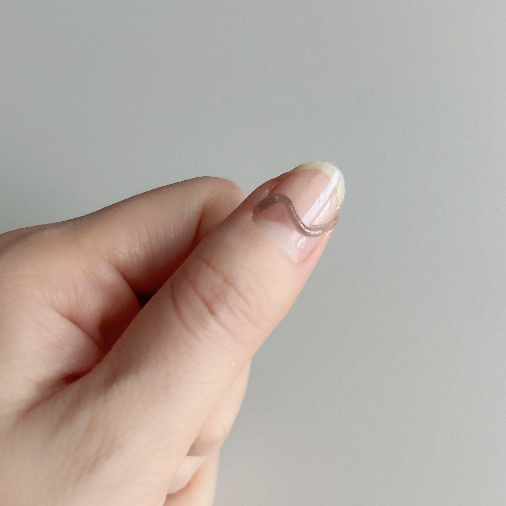 ジェルネイル ノズルタイプ ネイルアート PB. fasmy アイシングジェルネイル 09 シアーブラック 054698