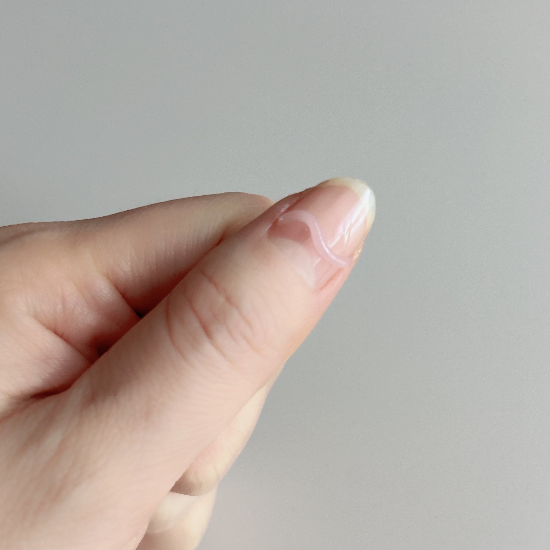 ジェルネイル ノズルタイプ ネイルアート PB. fasmy アイシングジェルネイル 10 シアーピンク 054699