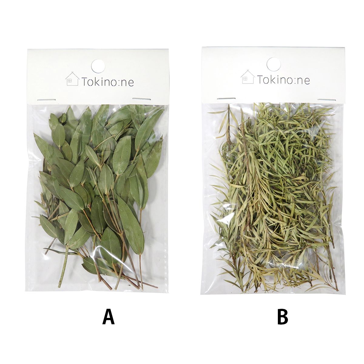 クリスマス リースパーツ リース装飾 Tokinone PB.デコレーションドライパーツ/リーフA 054856