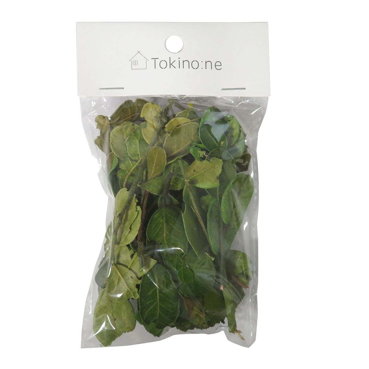 クリスマス リースパーツ リース装飾 Tokinone PB.デコレーションドライパーツ/リーフB 054857