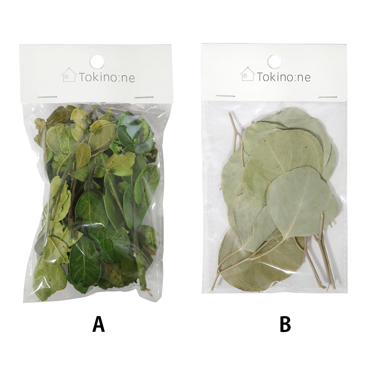 クリスマス リースパーツ リース装飾 Tokinone PB.デコレーションドライパーツ/リーフB 054857