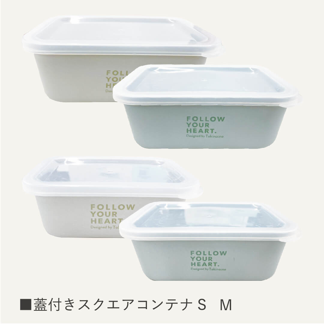 皿 中皿 ランチ皿 ディッシュ Tokinone PB.ランチプレート モスグリーン 直径19.3×H2.3cm 059752