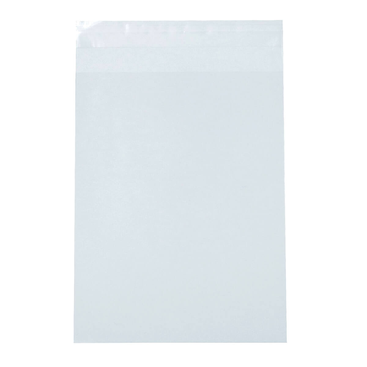 ビニールバッグ 糊付 25P 110×150mm 076213