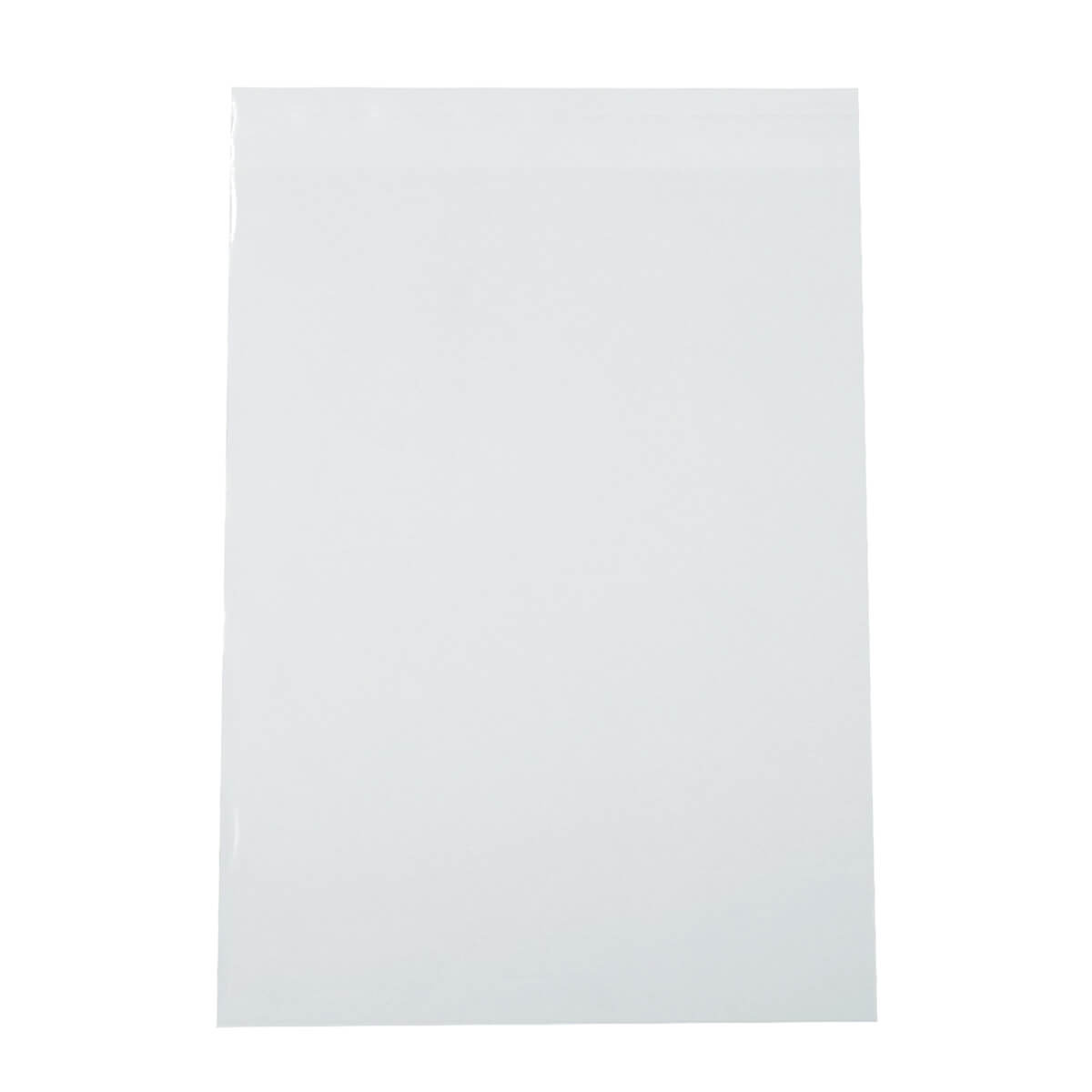 ビニールバッグ 糊付 15P 220×310mm 076216