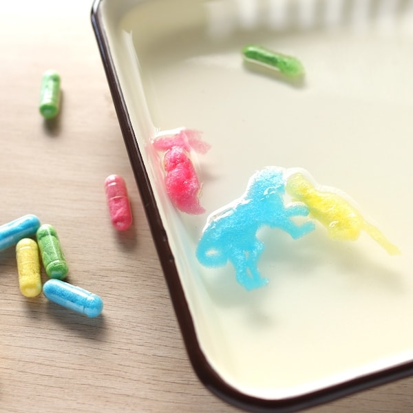 水でふくらむ!スポンジカプセル 081054