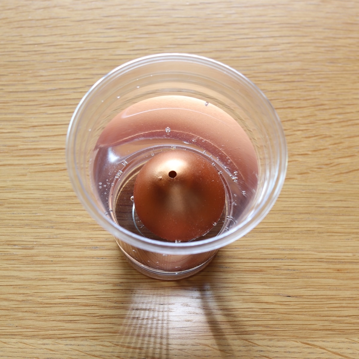 恐竜金のたまご 081099