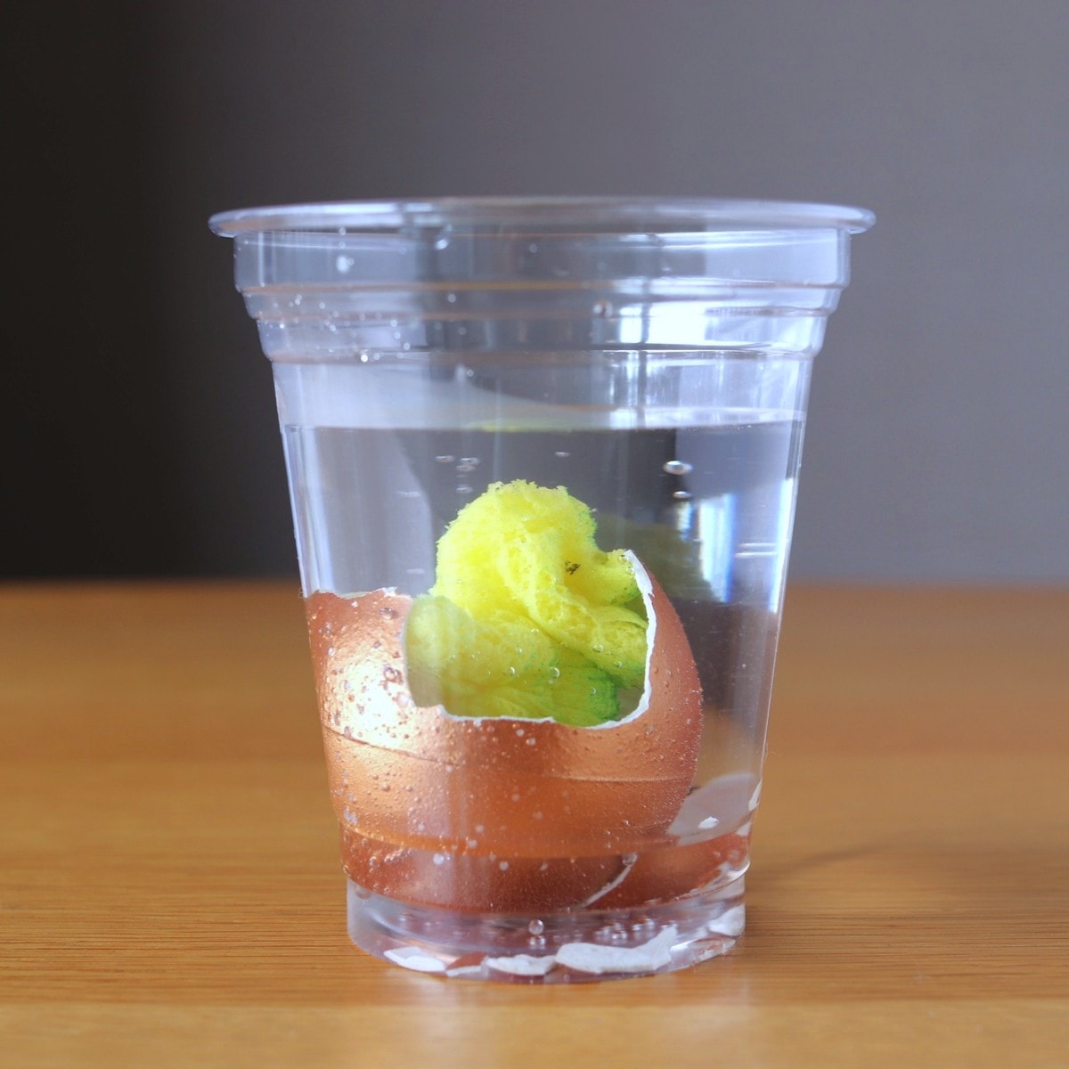 恐竜金のたまご 081099