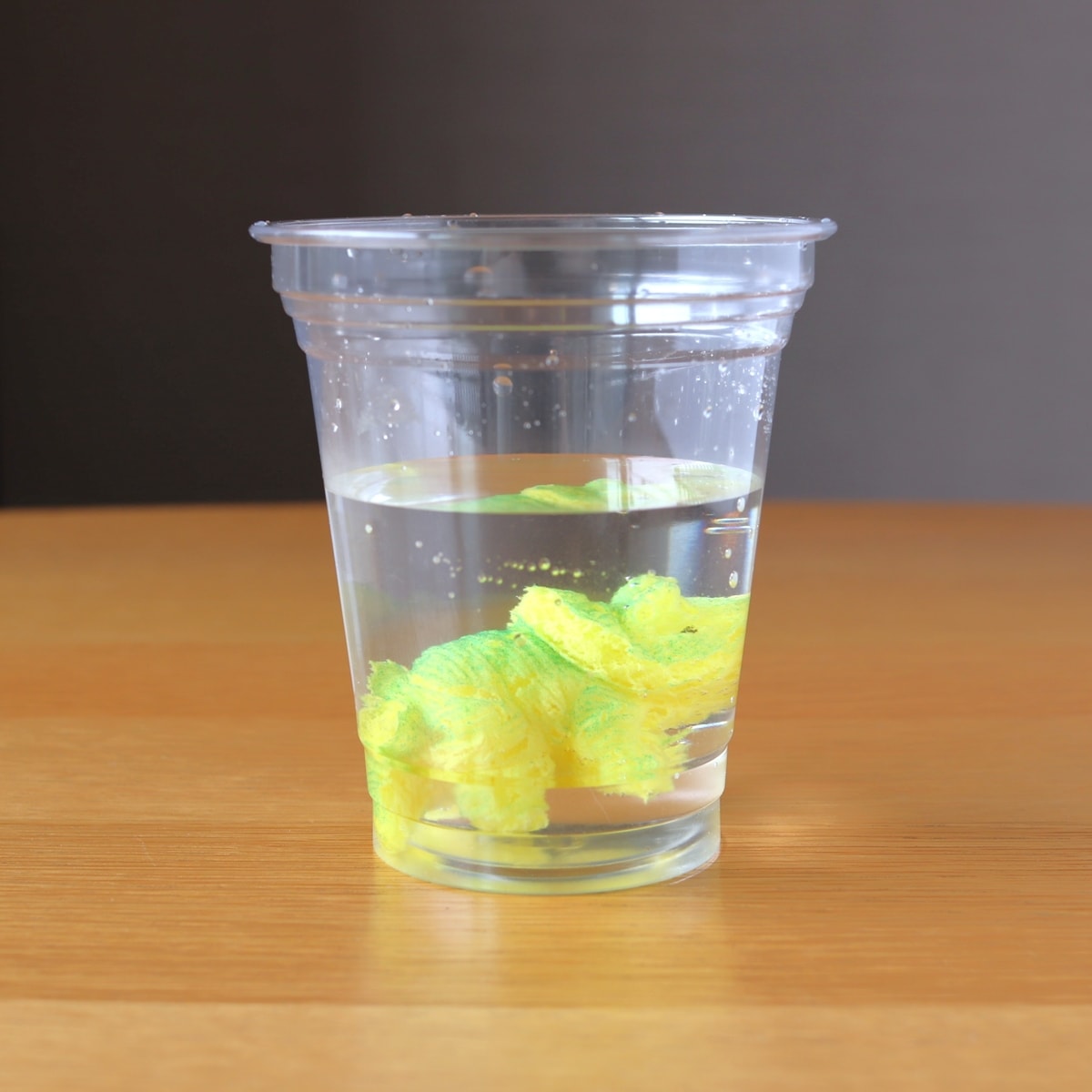 恐竜金のたまご 081099