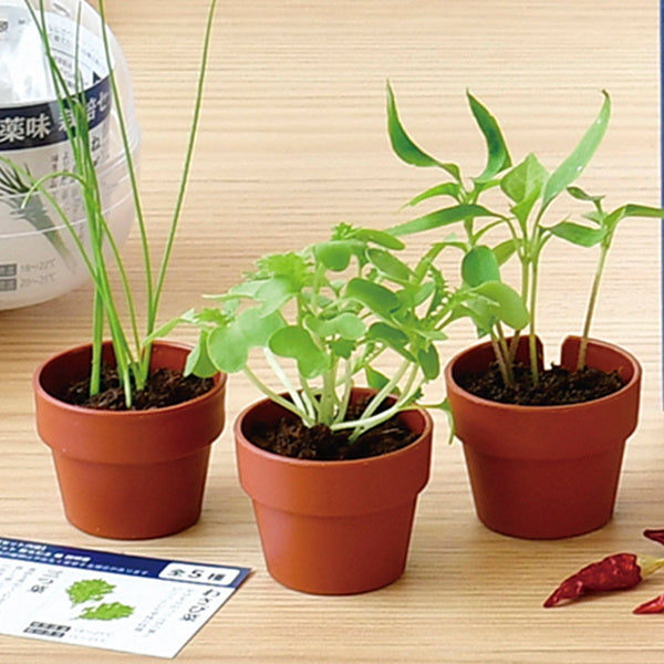 薬味栽培キット 聖新陶芸GD926育てるカプセル薬味 207043