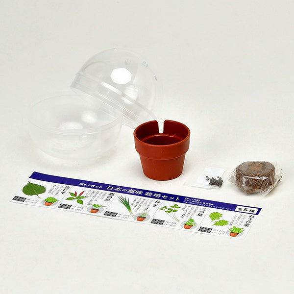 薬味栽培キット 聖新陶芸GD926育てるカプセル薬味 207043