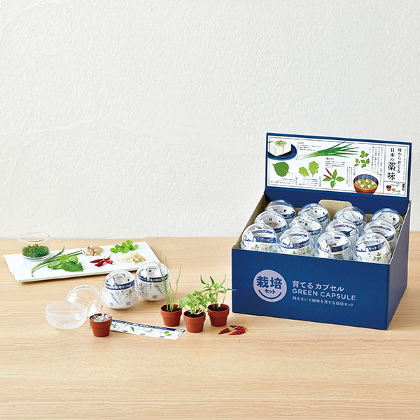 薬味栽培キット 聖新陶芸GD926育てるカプセル薬味 207043