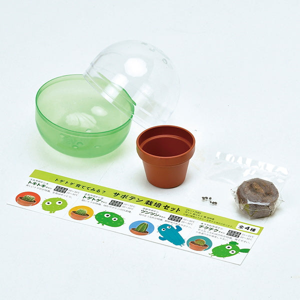 サボテン栽培キット 聖新陶芸GD921育てるカプセル/サボテン 207045