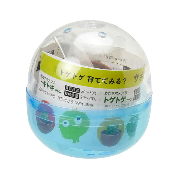 サボテン栽培キット 聖新陶芸GD921育てるカプセル/サボテン 207045