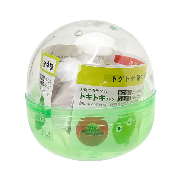 サボテン栽培キット 聖新陶芸GD921育てるカプセル/サボテン 207045