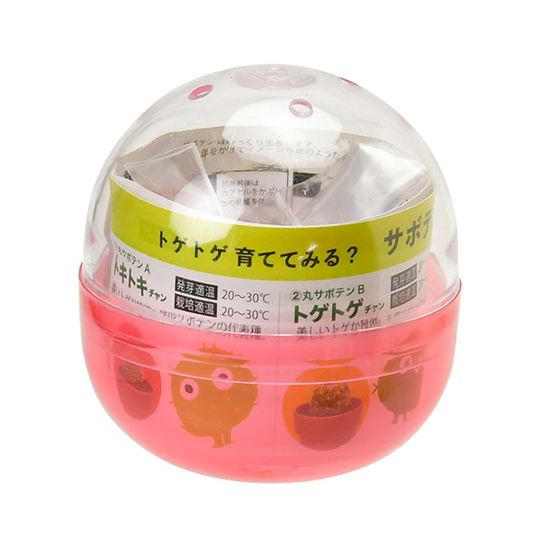 サボテン栽培キット 聖新陶芸GD921育てるカプセル/サボテン 207045