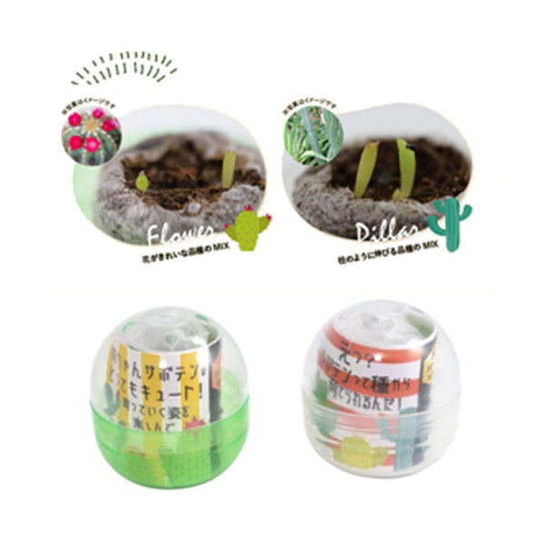 サボテン栽培キット 聖新陶芸GD921育てるカプセル/サボテン 207045