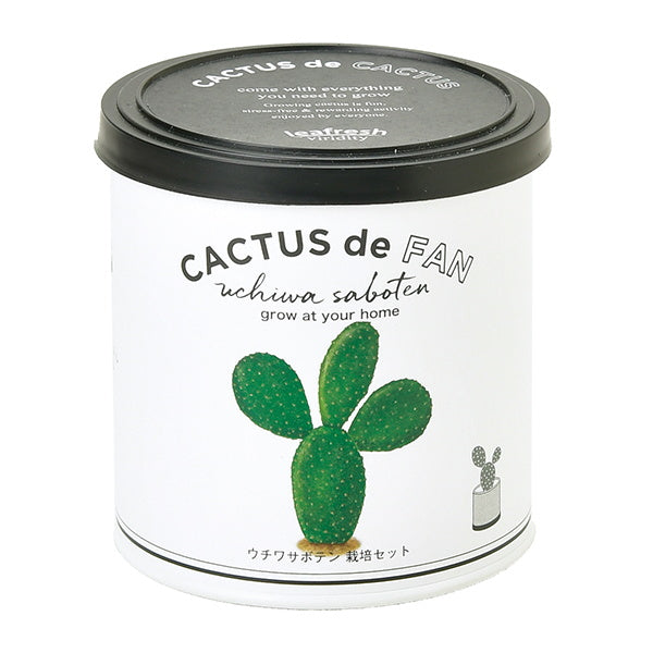 【OUTLET】栽培ポット 聖新陶芸カクタスdeカクタスウチワサボテン 211799