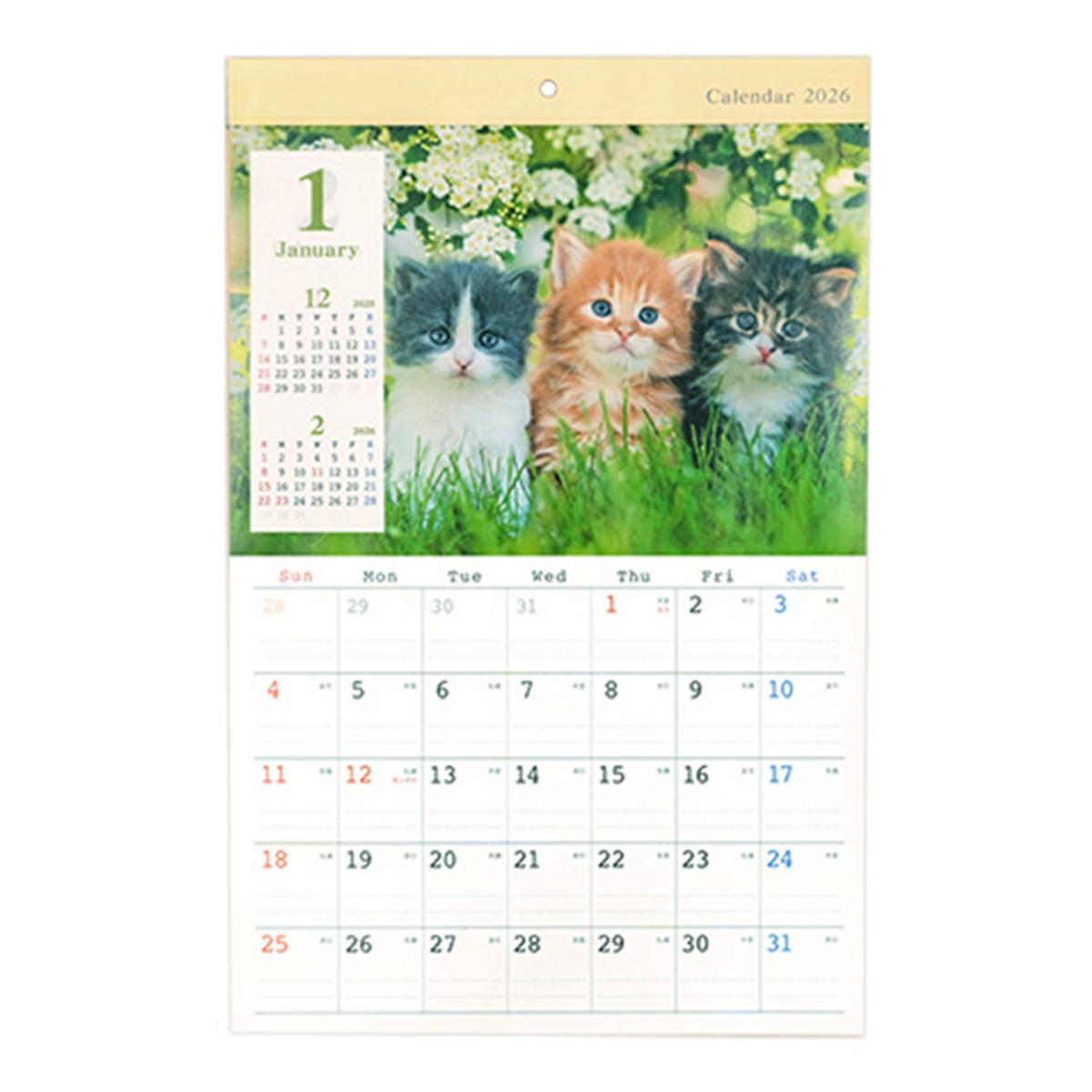 【在庫限り】カレンダー 2026 壁掛け A3 ネコ写真 301636