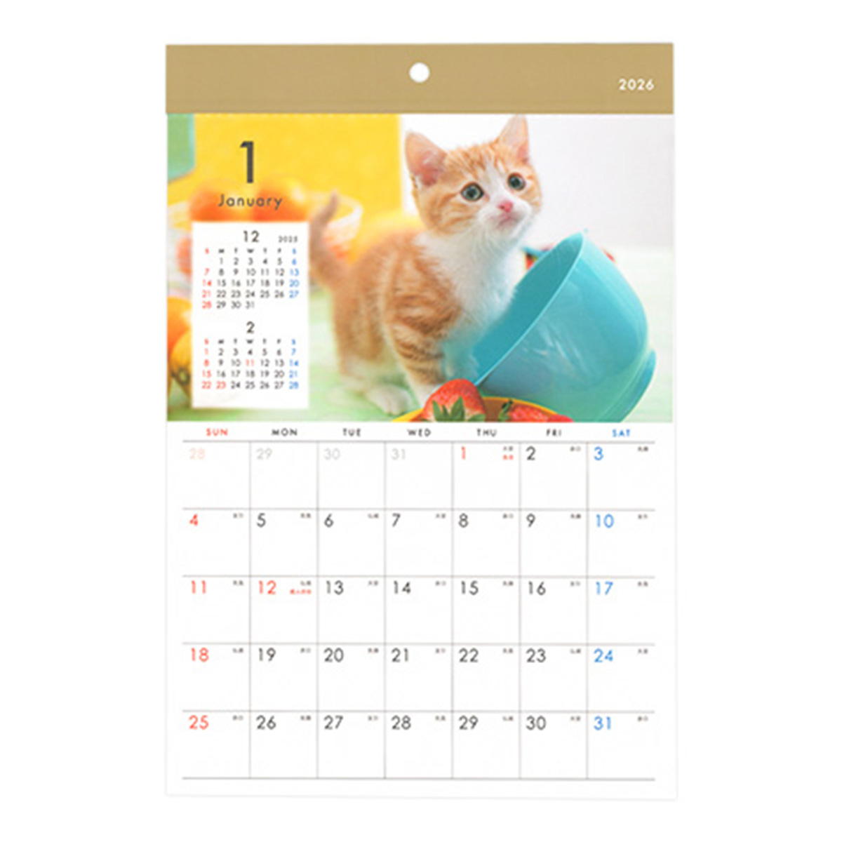 【在庫限り】カレンダー 2026 壁掛け A4 ネコ写真 301643