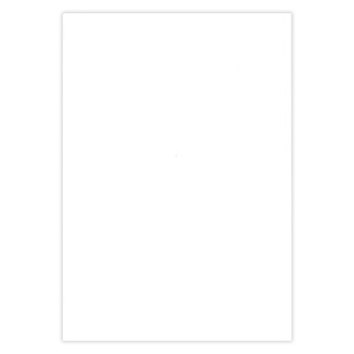 ショウワ B5じゆうちょう ポケモンA柄 自由帳 305261